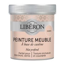 PEINTURE MEUBLE À BASE DE CASÉINE RUBAN 500ML